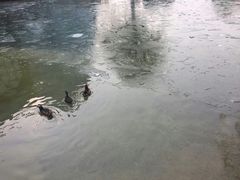 -西安曲江寒窑遗址公园