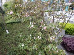 -大龙山(地铁站)