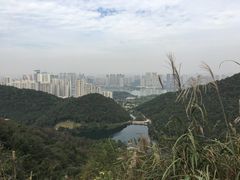 -桃花岭景区