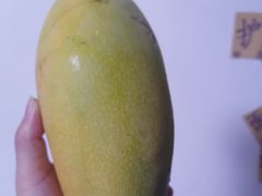 -红星农博物流中心