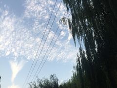 -状元楼(东大街店)