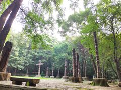 -沈阳市东陵公园
