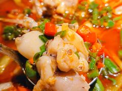 半汤鲜椒牛蛙-不相离盐帮菜(郎园店)