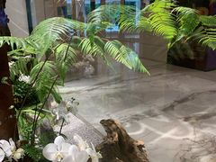 大堂-马哥孛罗咖啡厅·Cafe Marco (厦门马哥孛罗东方大酒店)