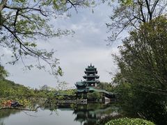 -桂湖森林公园