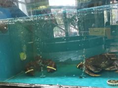 -聚鑫阁江浙菜·非遗传承技艺(青村帝华园店)