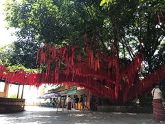 -西双版纳勐泐文化旅游区