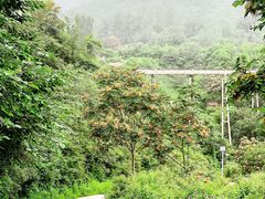 -蓝天飞扬飞行基地