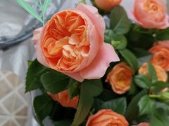 -循礼门鲜花花市(武汉循礼门店)