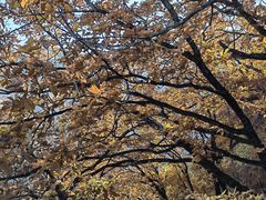 -五女峰国家森林公园