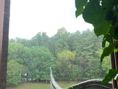 -明翠湖品·湖景餐厅