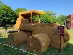 -嬉乐湾休闲旅游区