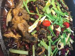 老板恋上鱼-老板恋上鱼(恒隆广场店)