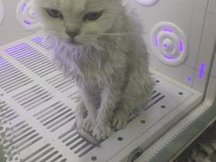 -派特宠物医院(圆融广场店)