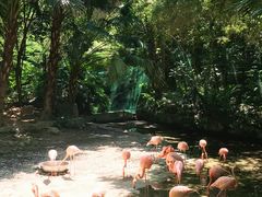 -东部华侨城