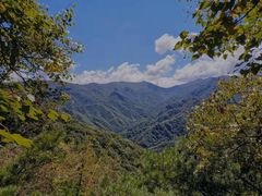 -秦岭风景区