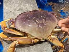 -帝皇海海鲜豆捞(桐泾商务广场店)