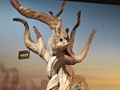 -陕西自然博物馆