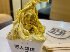 开心果Gelato-野人牧坊Gelato(天津南开大悦城店)