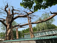 景点-东方绿舟景区