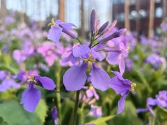 -上海交通大学闵行校区-包玉刚图书馆