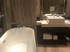 -常州环球恐龙城维景国际大酒店
