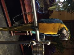 iphone_upload_pic-那家小馆•北京菜•烤鸭(中关村店)