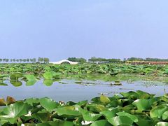 -天津东丽湖风景区