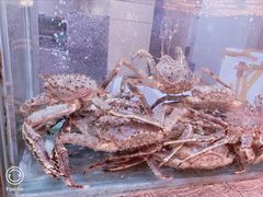 -海逸海鲜酒家(古北店)