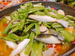 传统椒麻鸡（节日）-杨记隆府(白象街店)