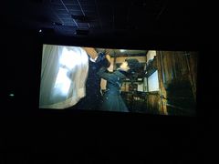 -AMG海上明珠影城(上海环球港RealDCinema店)