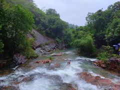 -广州白江湖森林公园