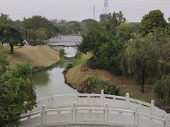 -王借岗森林公园