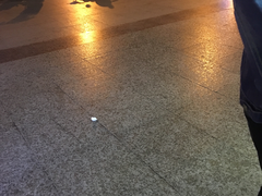 -沪上阿姨·精选茶饮(天长东路店)