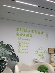 -凡碧诗毛孔清洁收细