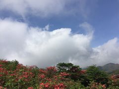 -大围山国家森林公园