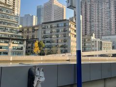 -苏州河梦清园环保主题公园