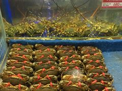 -欢乐海岸美食联盟