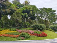 -云溪植物园