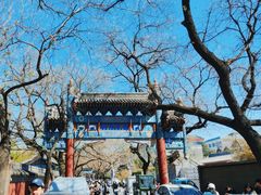 -北京国子监胡同