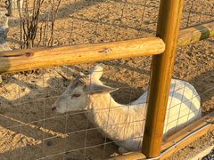 -茅山东方盐湖城景区