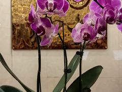 -北京前门建国饭店