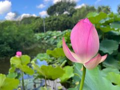 -厦门园林博览苑