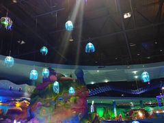 -青岛嘉年华主题乐园