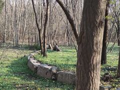 -秦始皇帝陵博物院(兵马俑)