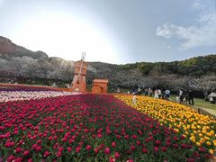 -苏州上方山国家森林公园