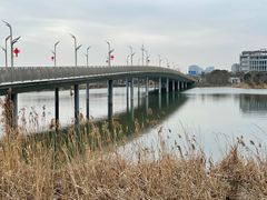 -上海滴水湖皇冠假日酒店