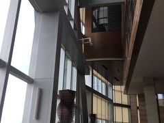-君悦酒店·大堂酒吧·高空下午茶·暮色微醺