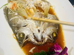 -顺明新疆风味餐厅(五一路店)