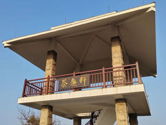 -东莞市大岭山森林公园